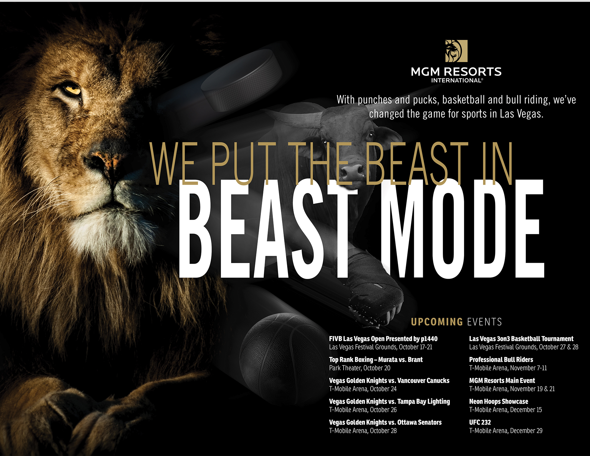 MGMRI CORPORATE ADS