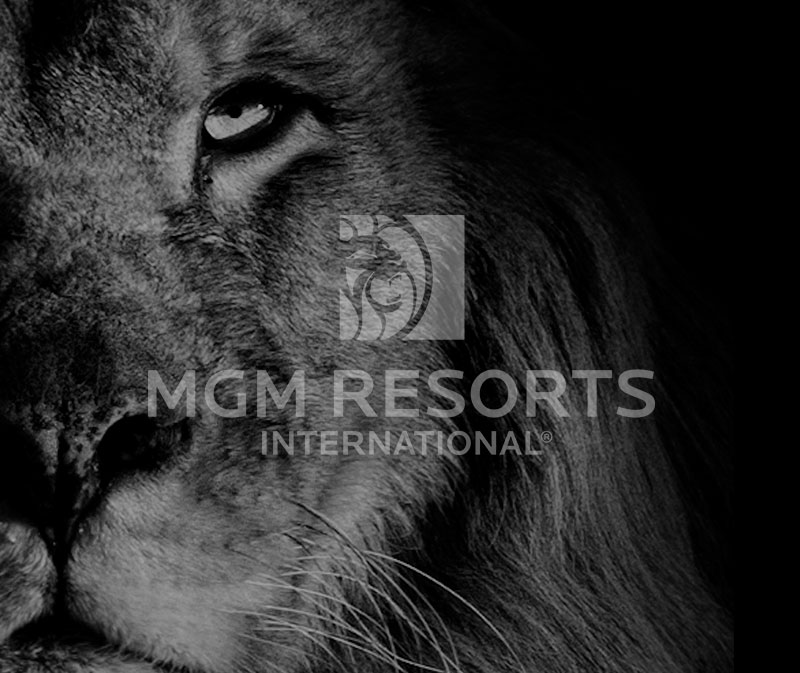 MGMRI CORPORATE ADS